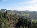 Fiesole - Parco di Montececeri-18